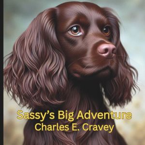 Sassy's Big Adventure image number 0