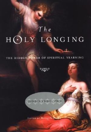 The Holy Longing: The Hidden Power of Religious Yearning image number 0