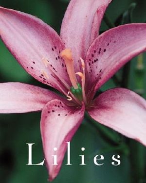 Lilies image number 0