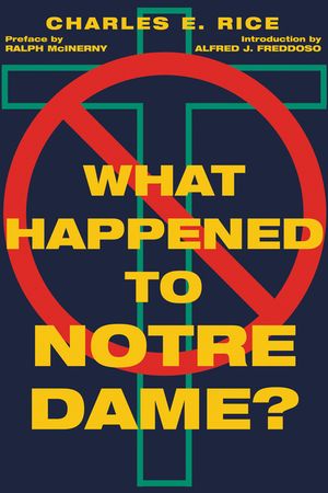 What Happened to Notre Dame? image number 0