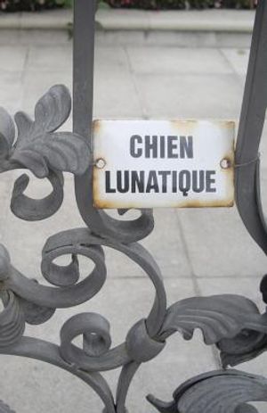 Chien Lunatique: Poems image number 0