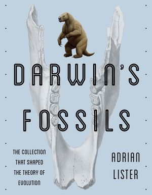 Darwin's Fossils: The Collection That Shaped the Theory of Evolution image number 0