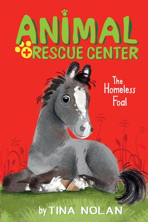 The Homeless Foal image number 0