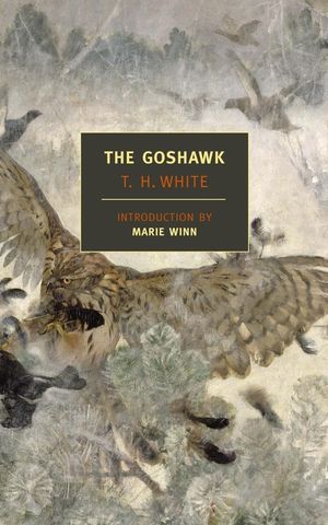 The Goshawk image number 0