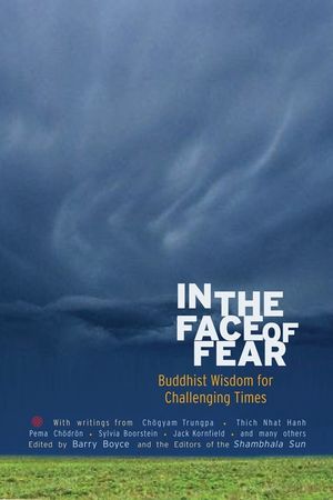In the Face of Fear: Buddhist Wisdom for Challenging Times image number 0