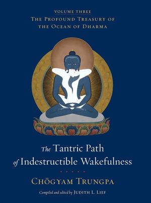 The Tantric Path of Indestructible Wakefulness image number 0