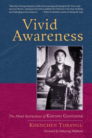 Vivid Awareness: The Mind Instructions of Khenpo Gangshar image number 0