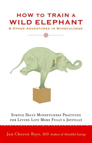 How to Train a Wild Elephant: And Other Adventures in Mindfulness image number 0