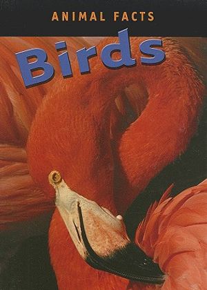 Birds image number 0
