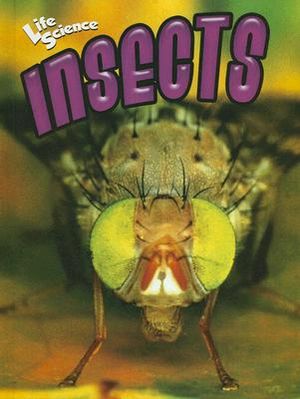 Insects image number 0