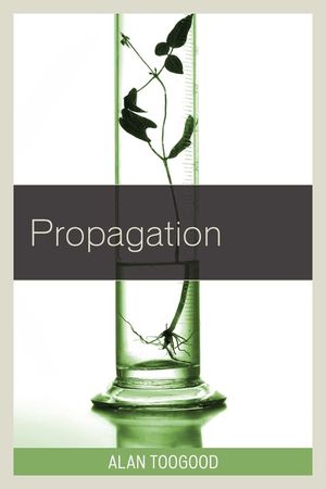 Propagation image number 0