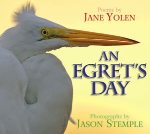An Egret's Day image number 0