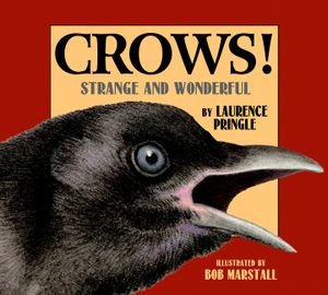 Crows!: Strange and Wonderful image number 0