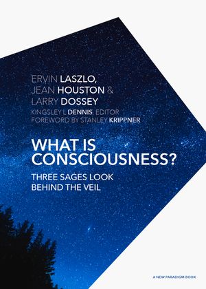 What Is Consciousness?: Three Sages Look Behind the Veil image number 0