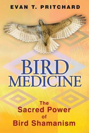 Bird Medicine: The Sacred Power of Bird Shamanism image number 0
