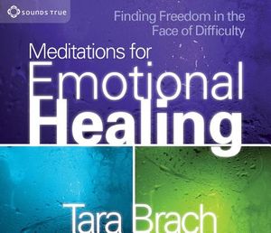 Meditations for Emotional Healing: Finding Freedom in the Face of Difficulty image number 0