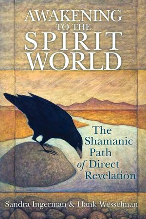 Awakening to the Spirit World: The Shamanic Path of Direct Revelation image number 0