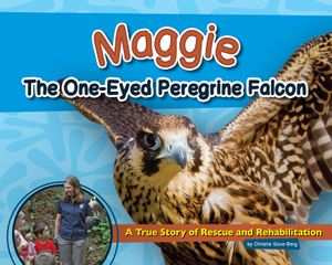 Maggie the One-Eyed Peregrine Falcon: A True Story of Rescue and Rehabilitation image number 0