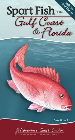 Sport Fish of the Gulf Coast & Florida: Your Way to Easily Identify Sport Fish image number 0