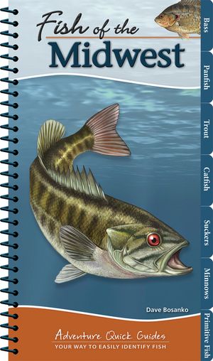 Fish of the Midwest: Your Way to Easily Identify Fish image number 0