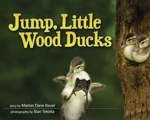 Jump, Little Wood Ducks image number 0