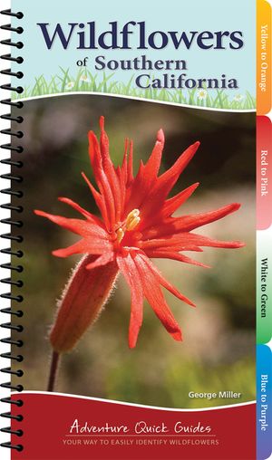 Wildflowers of Southern California: Your Way to Easily Identify Wildflowers image number 0