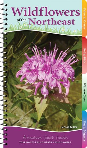 Wildflowers of the Northeast: Your Way to Easily Identify Wildflowers image number 0