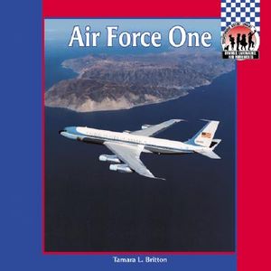 Air Force One image number 0