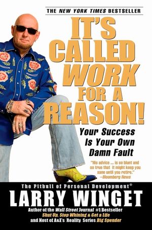 It's Called Work for a Reason!: Your Success Is Your Own Damn Fault image number 0