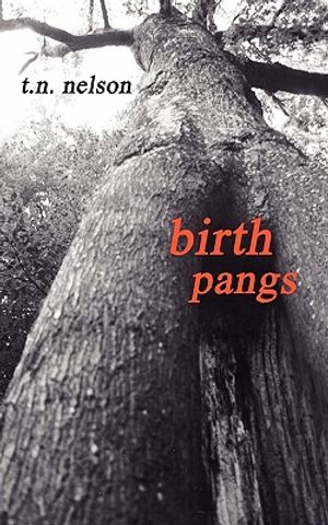 Birth Pangs image number 0