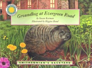 Groundhog at Evergreen Road image number 0