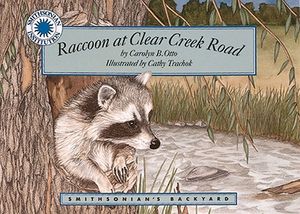 Raccoon at Clear Creek Road image number 0