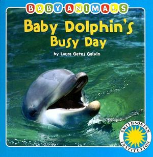 Baby Dolphin's Busy Day image number 0