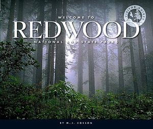Welcome to Redwood National and State Parks image number 0