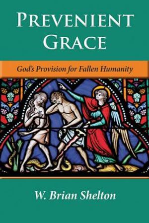 Prevenient Grace: God's Provision for Fallen Humanity image number 0