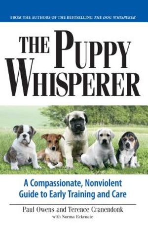 Dog Whisperer Puppy Training Tips: Expert Secrets for Quick Success