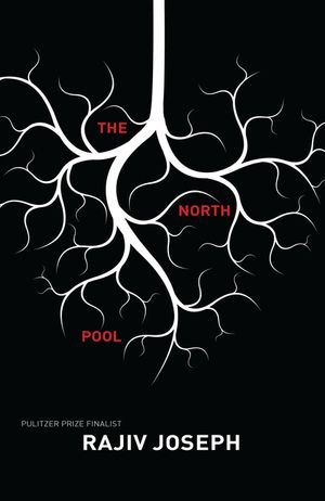 The North Pool image number 0