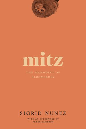 Mitz: The Marmoset of Bloomsbury image number 0