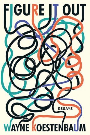 Figure It Out: Essays image number 0