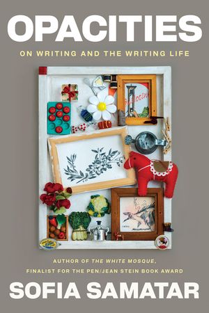 Opacities: On Writing and the Writing Life image number 0