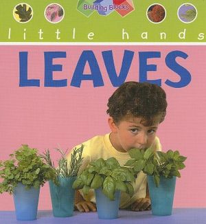 Leaves image number 0