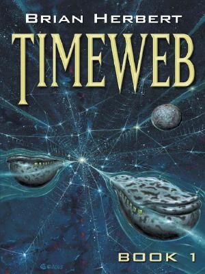 Timeweb image number 0