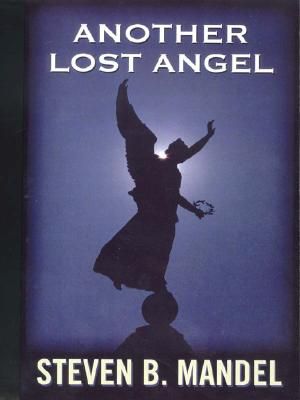 Another Lost Angel image number 0