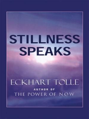Stillness Speaks image number 0