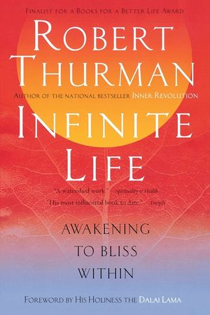 Infinite Life: Awakening to Bliss Within image number 0
