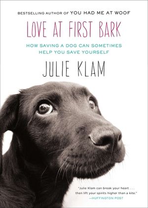 Love at First Bark: How Saving a Dog Can Sometimes Help You Save Yourself image number 0