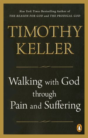 Walking with God Through Pain and Suffering image number 0