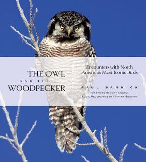 The Owl and the Woodpecker: Encounters with North America's Most Iconic Birds [With CD] image number 0