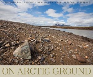 On Arctic Ground: Tracking Time Through Alaska's National Petroleum Reserve image number 0