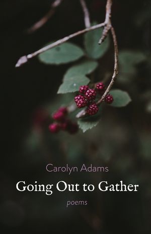 Going Out to Gather image number 0